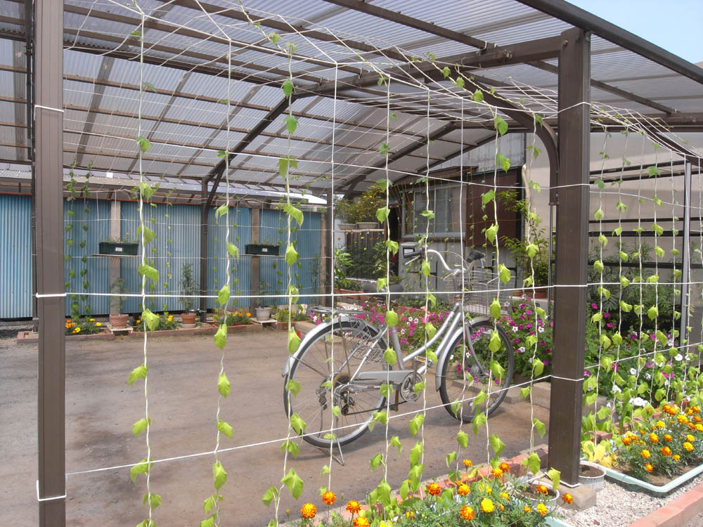 �T���O�V��