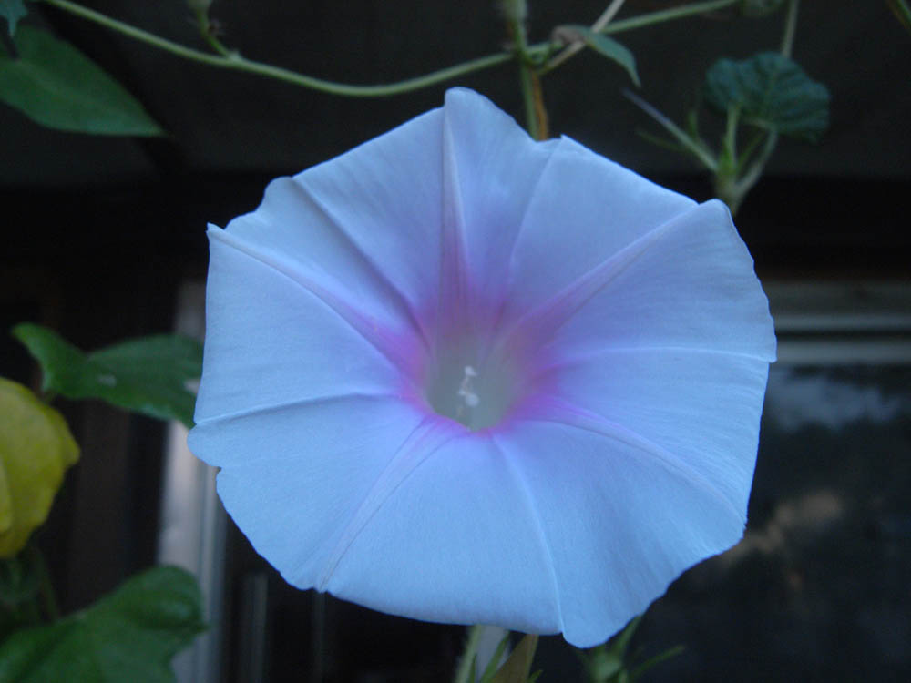 �T���Q�T��