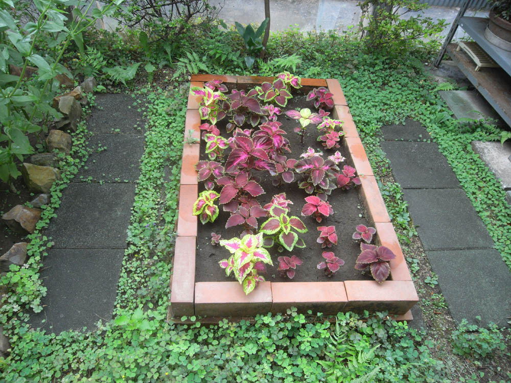 �U���O�W��