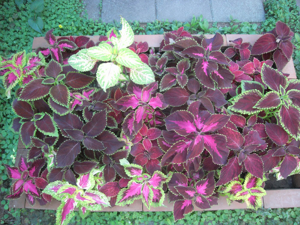 �U���Q�W��