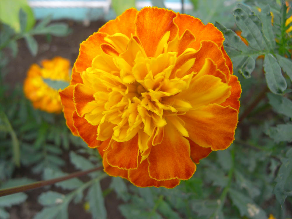 �U���Q�W��