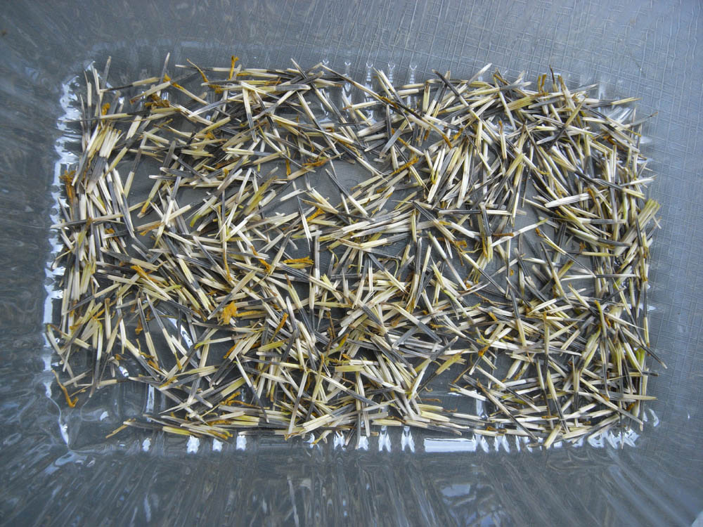 �S���P�W��