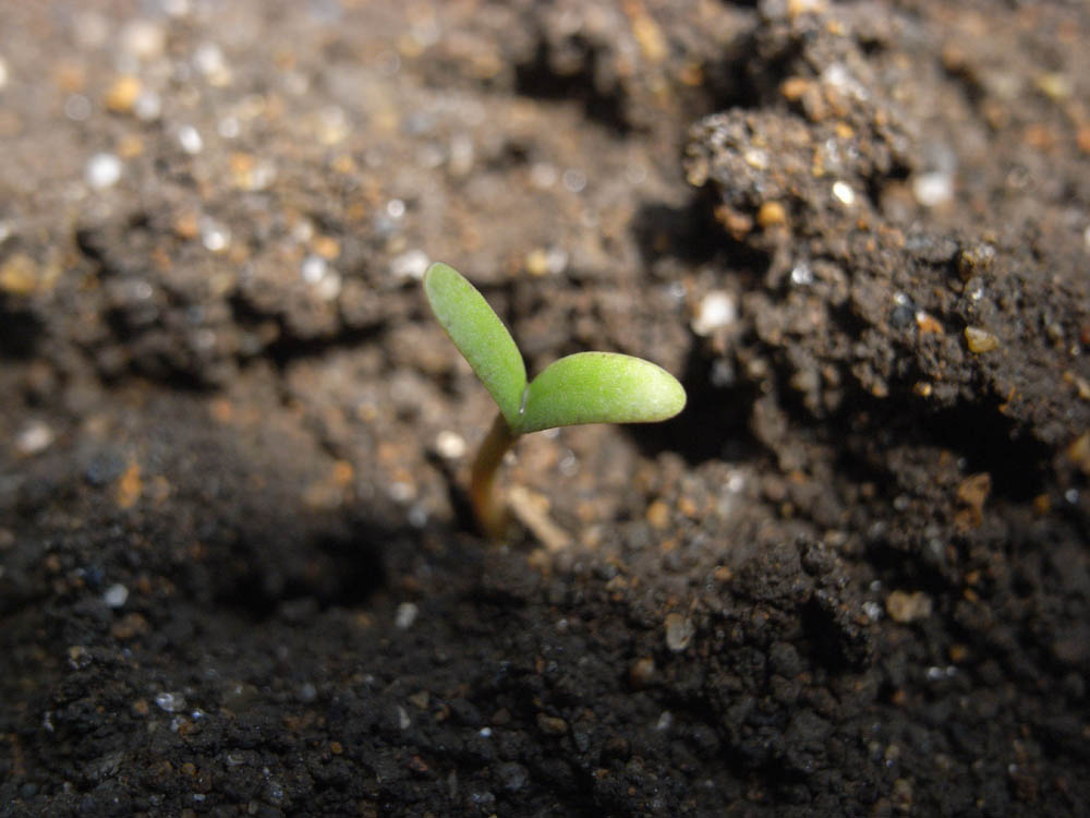 �S���Q�S��