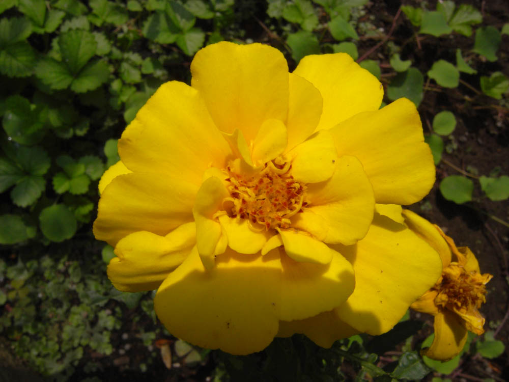 �T���Q�T��