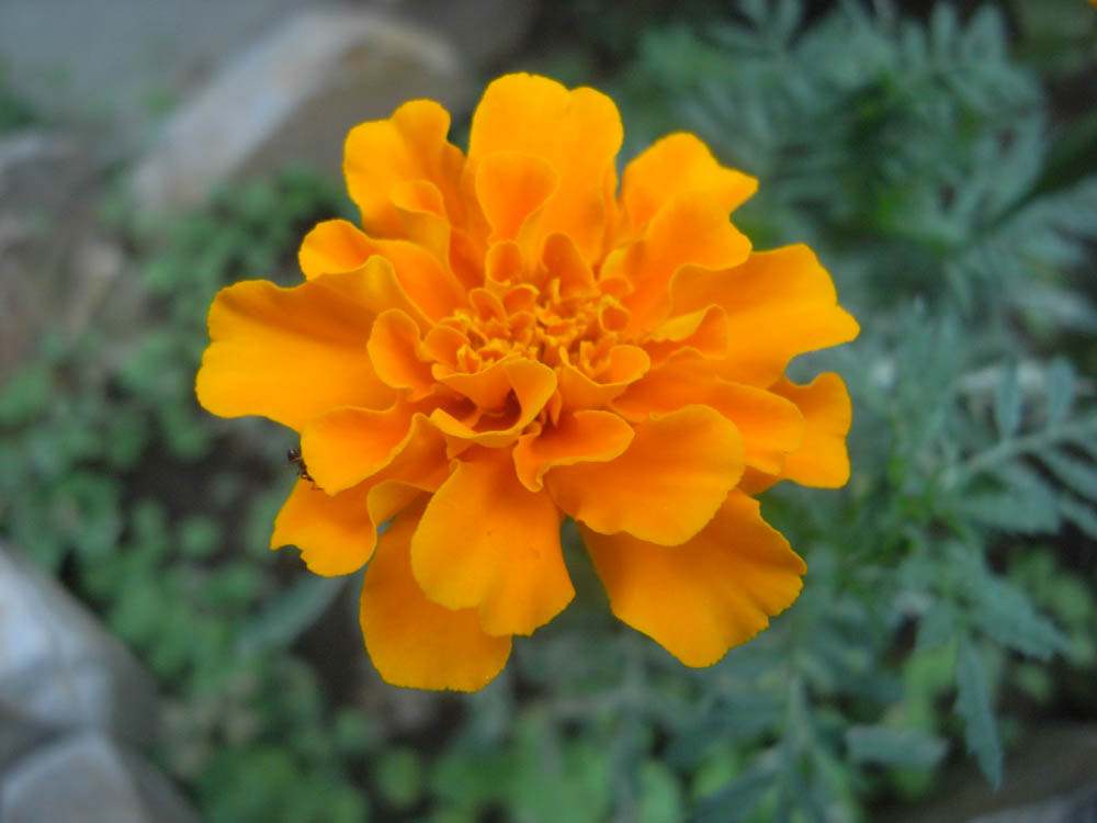 �U���O�P��