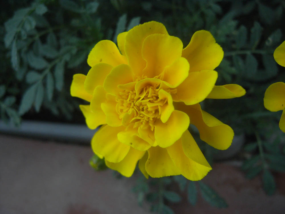 �U���O�R��