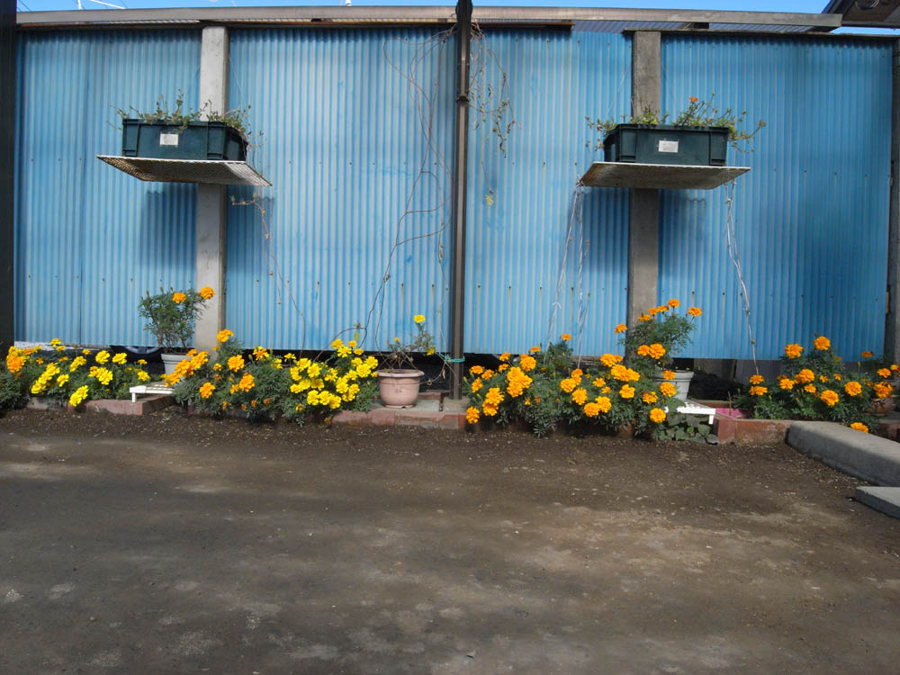 �U���Q�W��