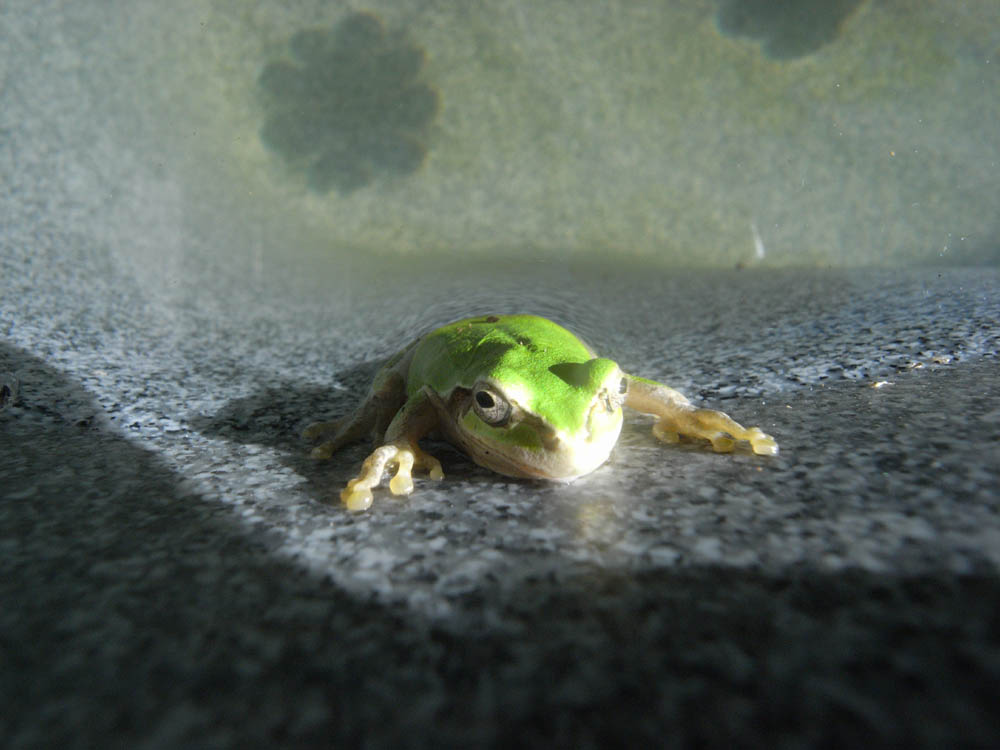 �W���Q�O��