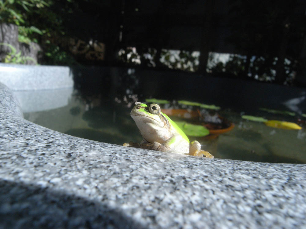 �W���Q�O��