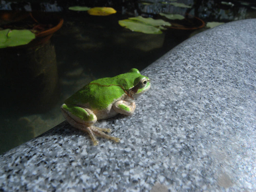 �W���Q�O��