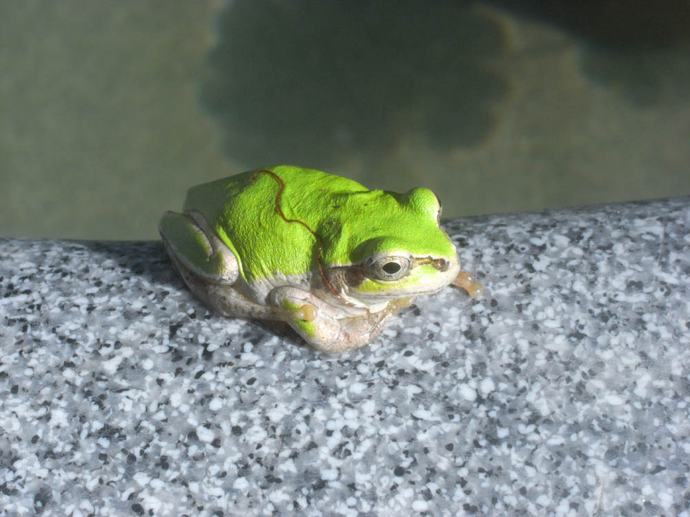 �W���Q�O��