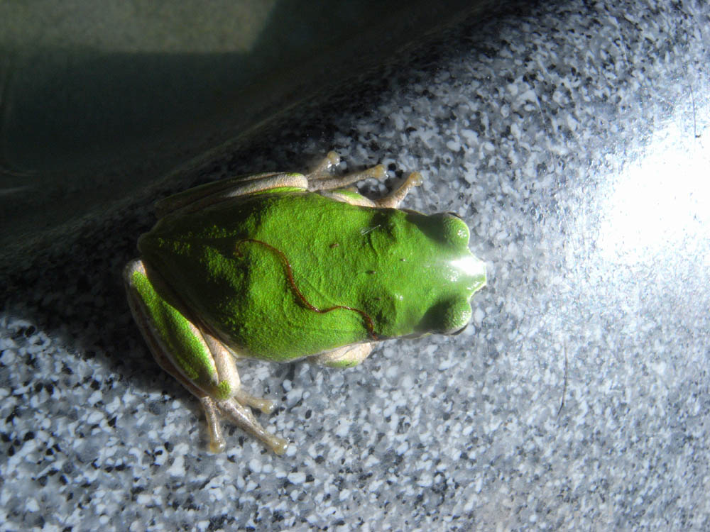 �W���Q�O��