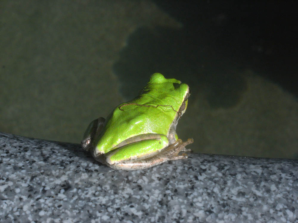 �W���Q�O��