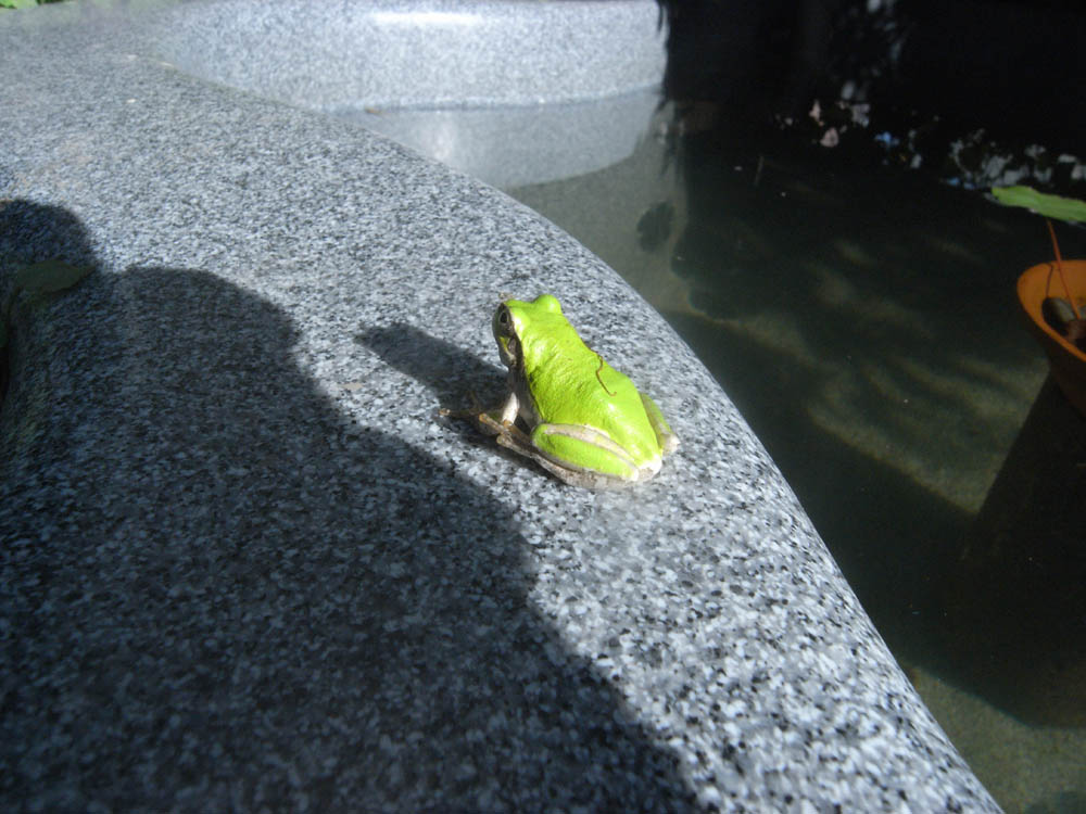 �W���Q�O��