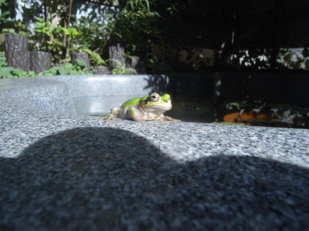 �W���Q�O��