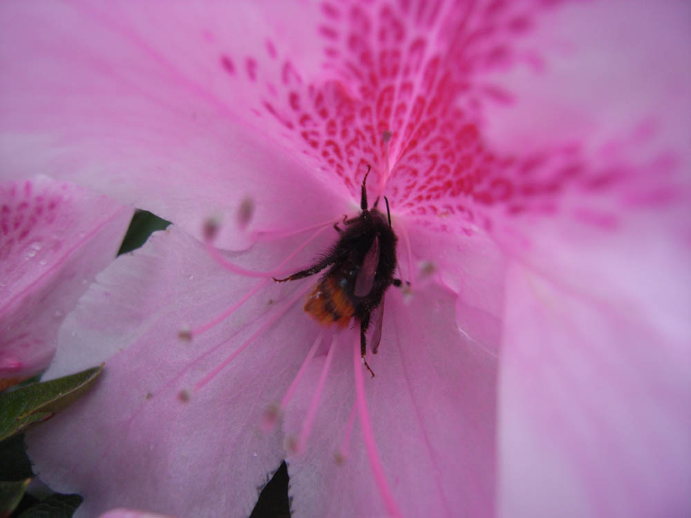 �~�c�o�`�H