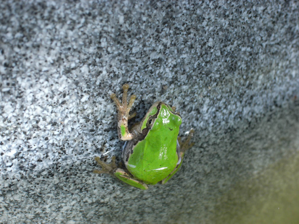 �A�}�K�G��