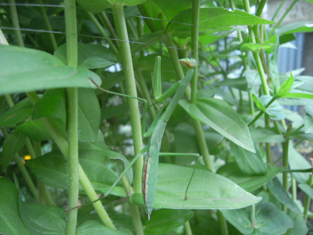 �J�}�L���I