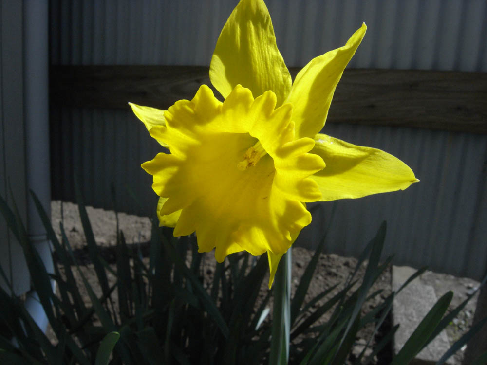 ���b�p����