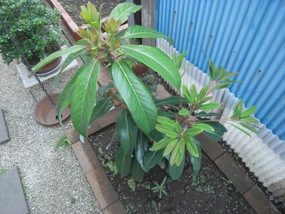 ���Y���n�I