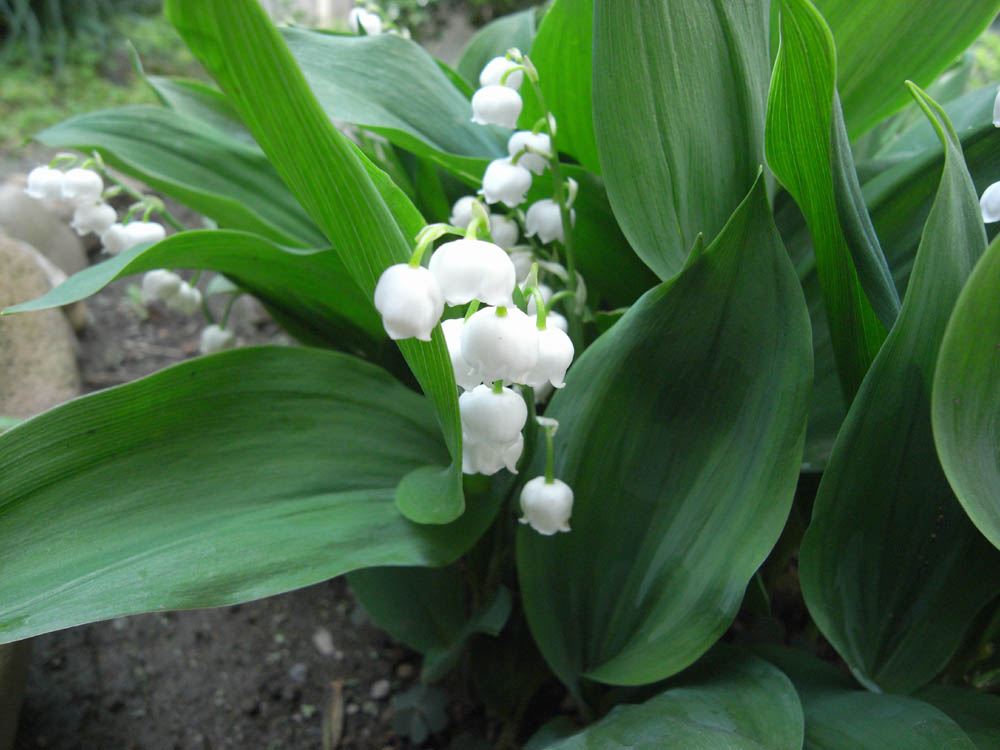 �X�Y�����I