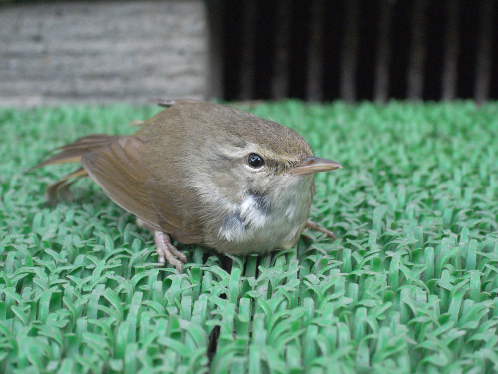 ��̓����B