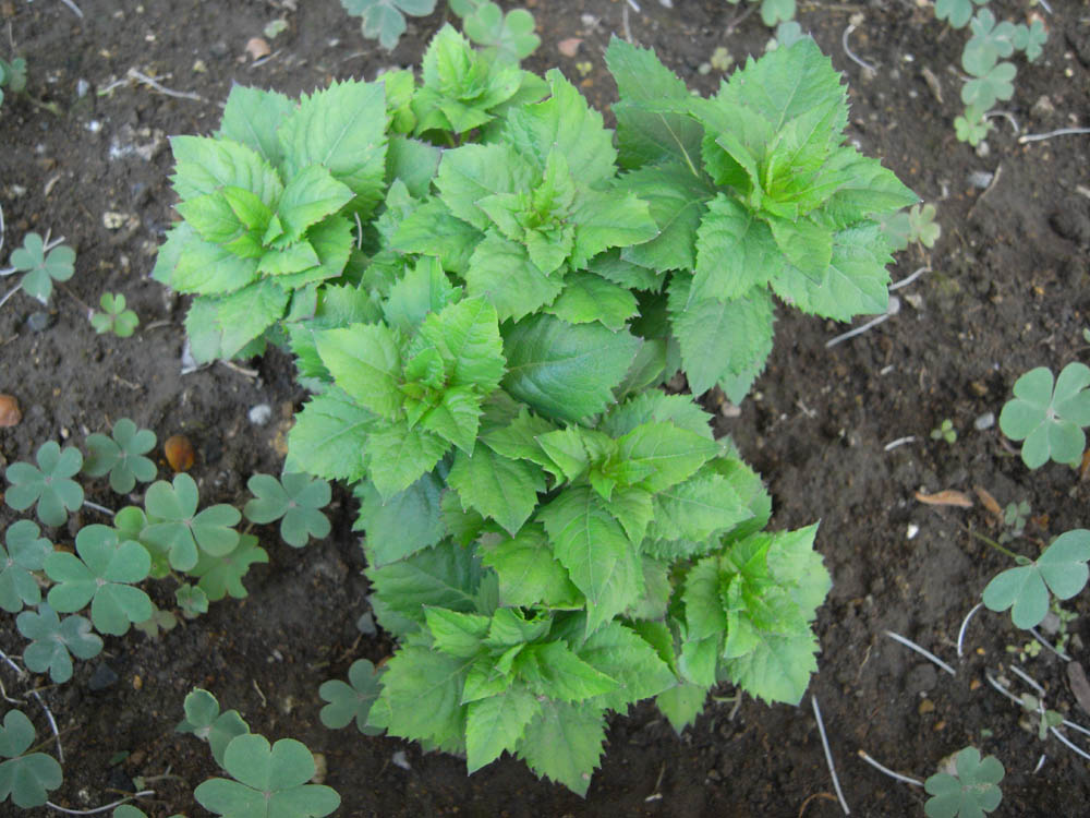 �T���Q�P��