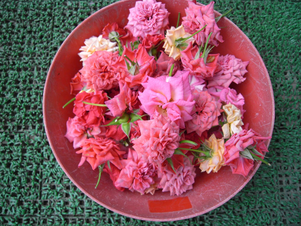 �U���O�U��