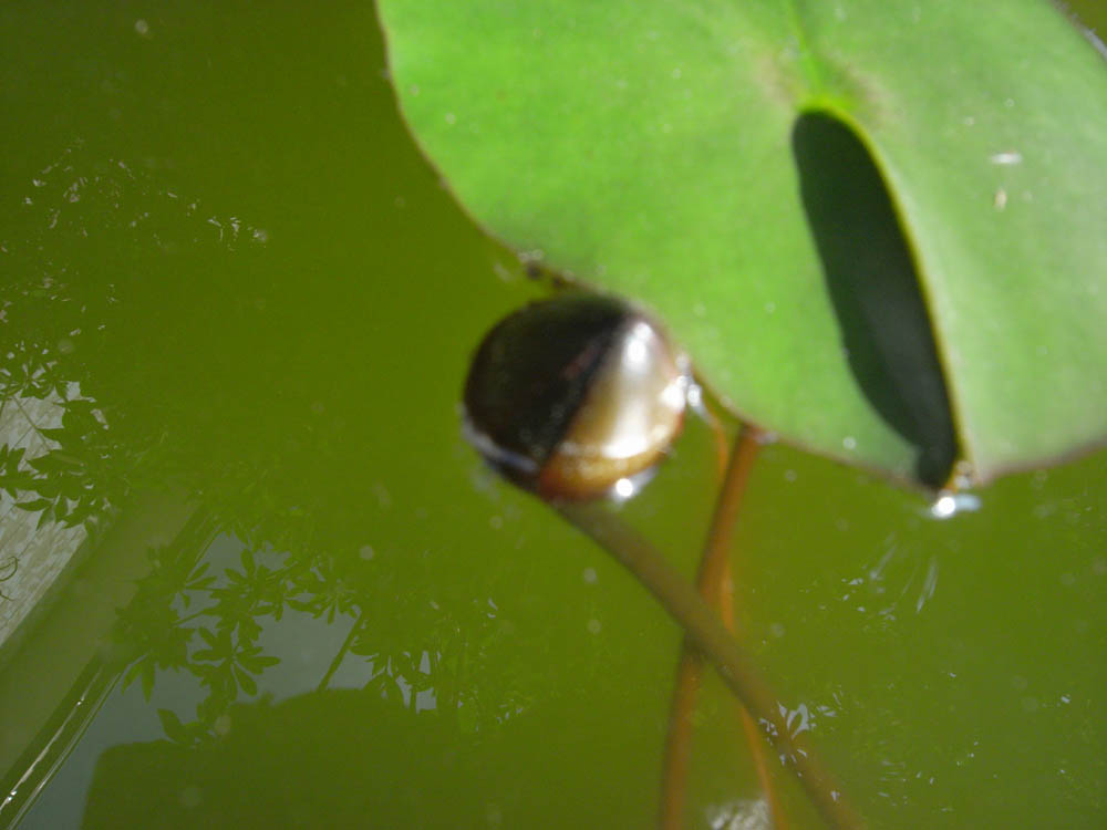 �U���O�R��