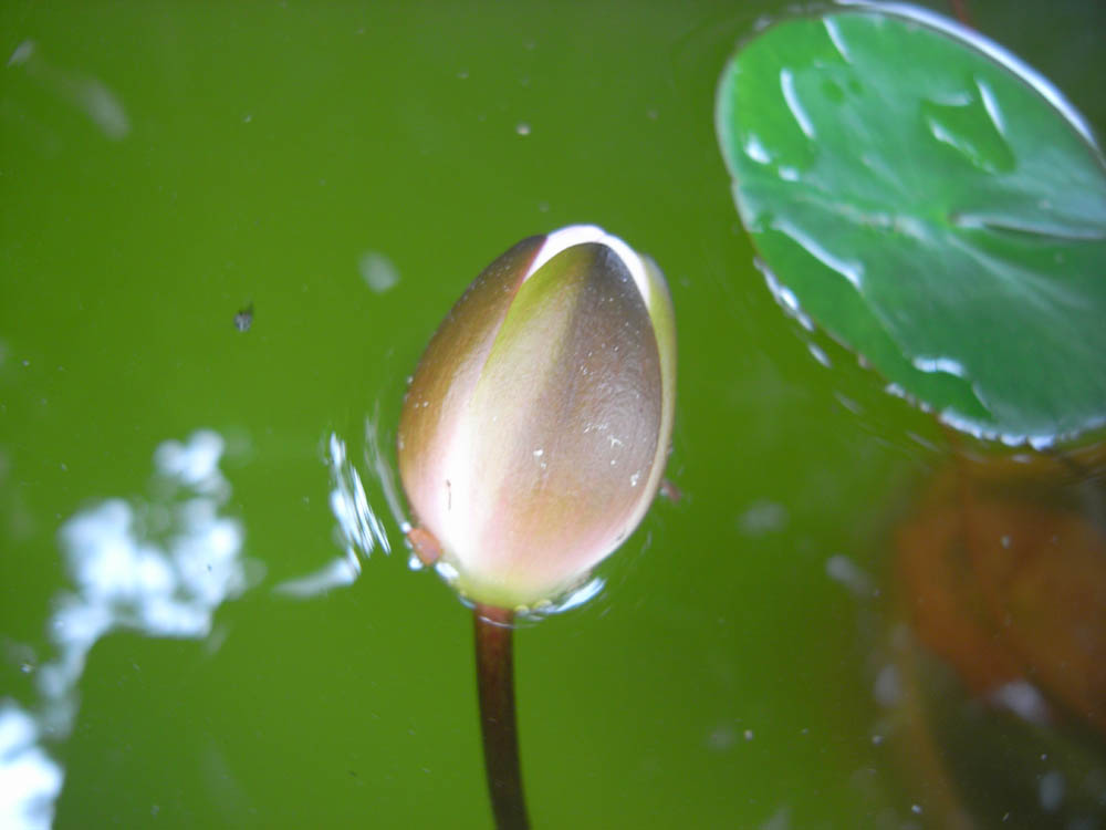 �U���P�O��