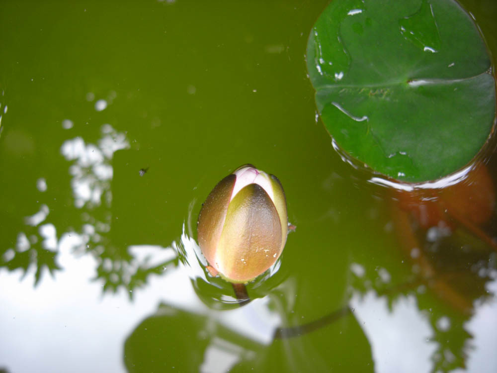 �U���P�O��