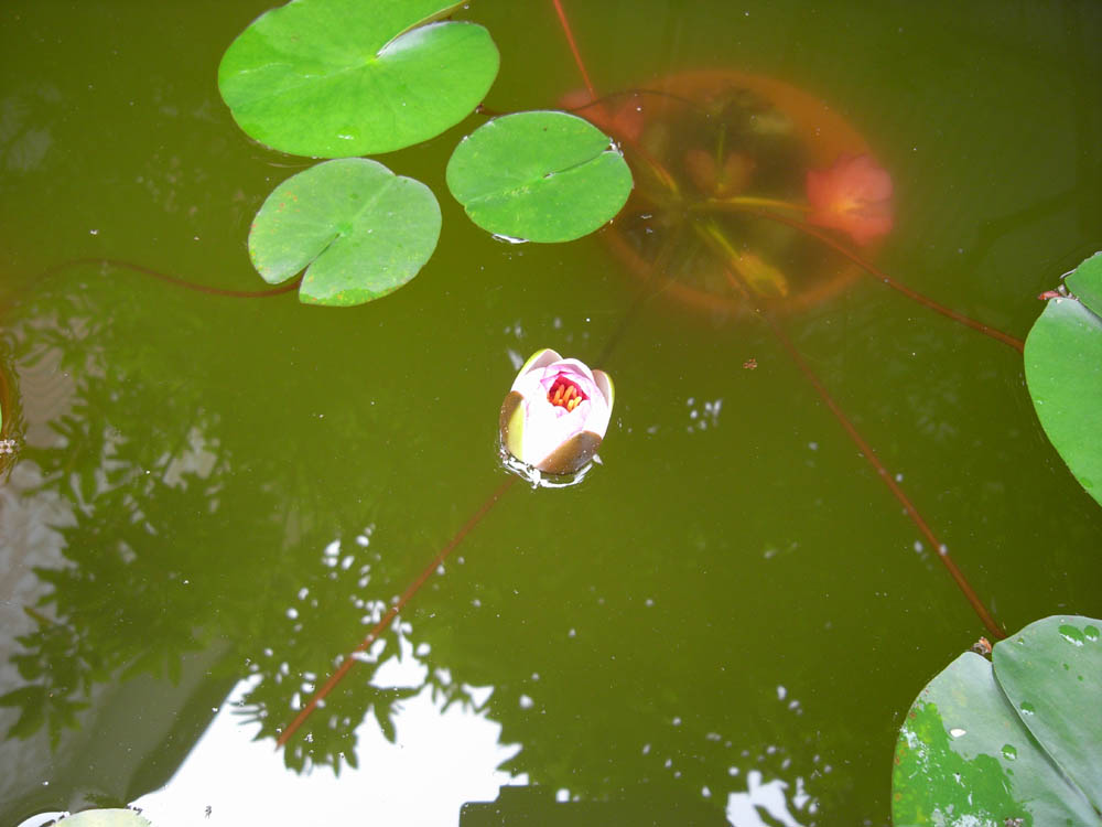 �U���P�O��