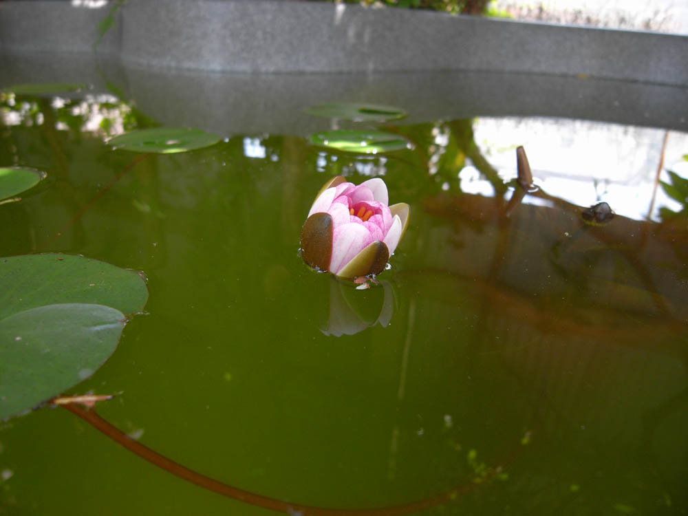 �U���P�O��