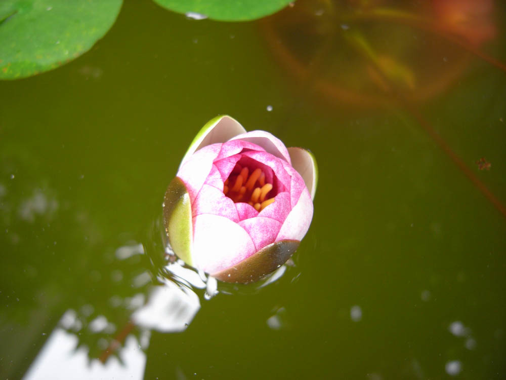 �U���P�O��