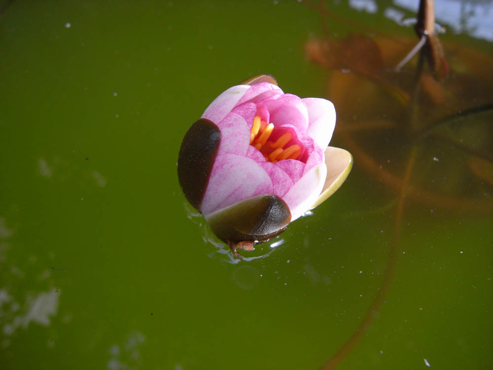 �U���P�O��