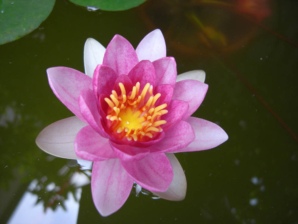 �U���P�O��