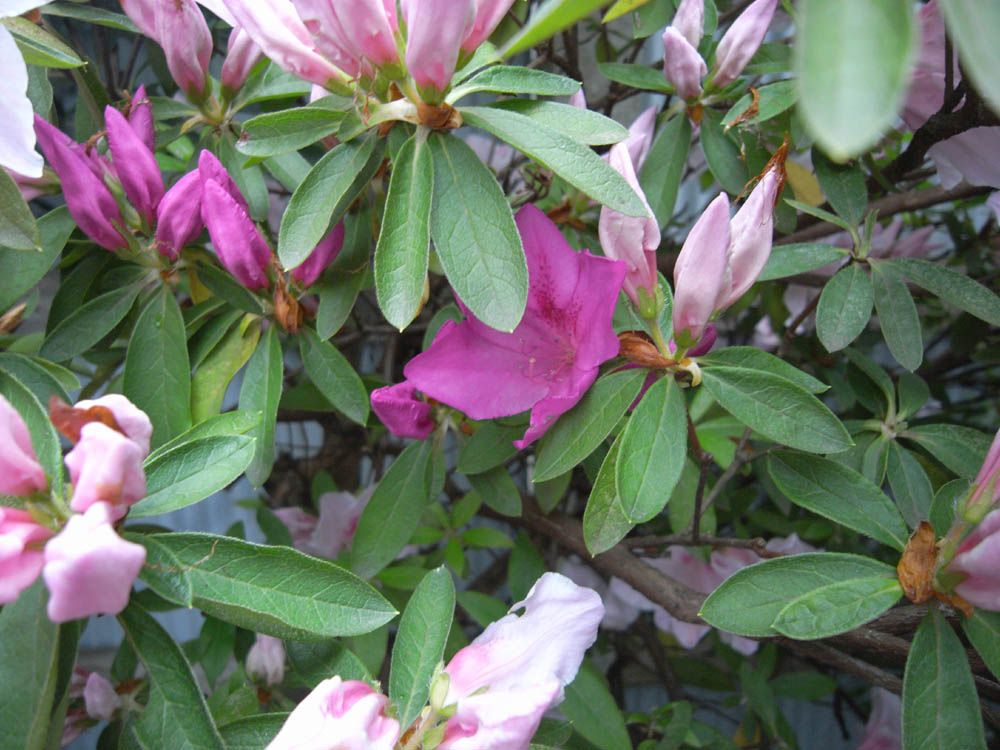 �T���P�O��