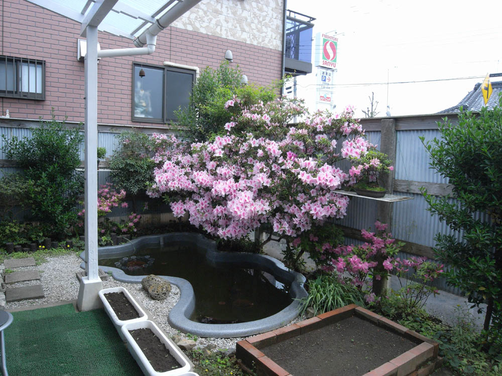 �T���P�O��