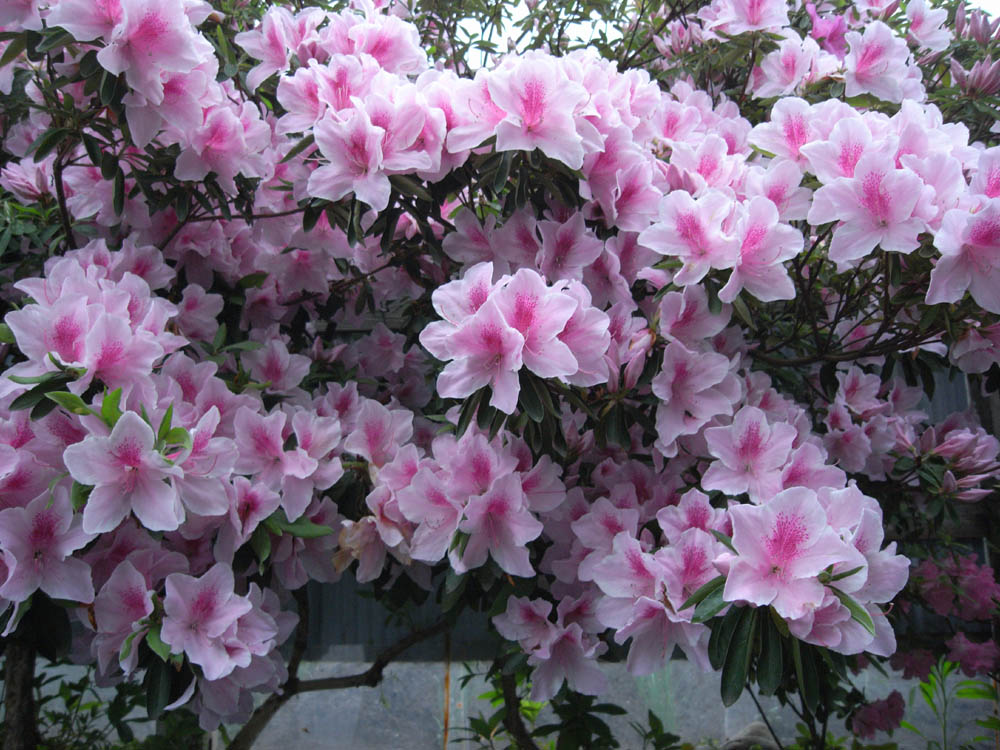 �T���P�O��