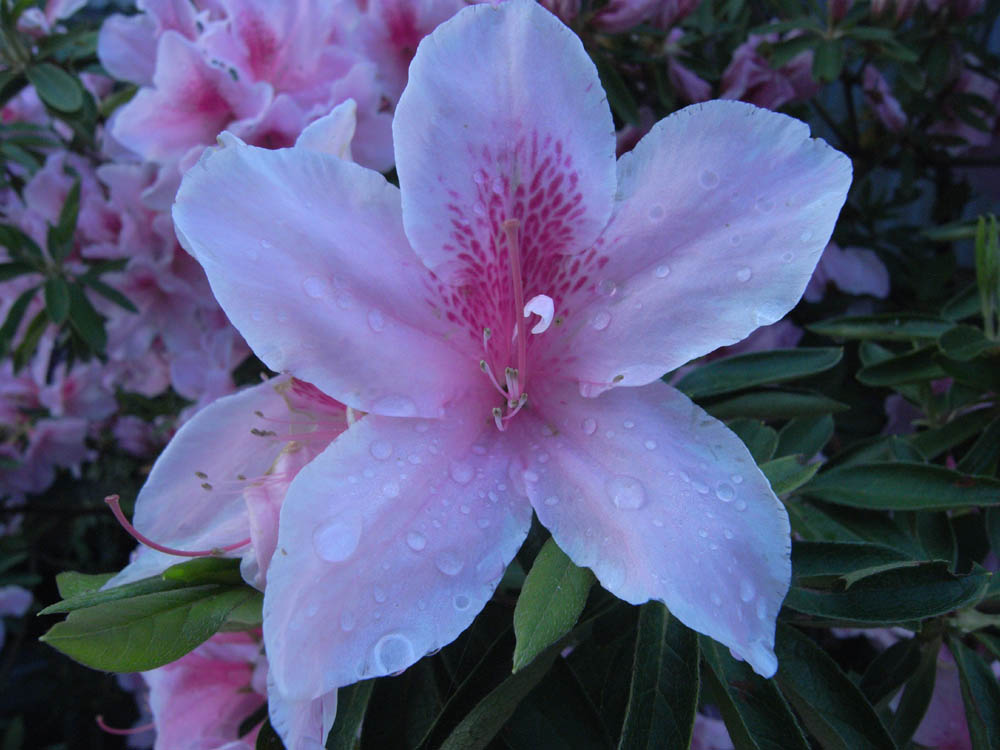 �T���P�Q��