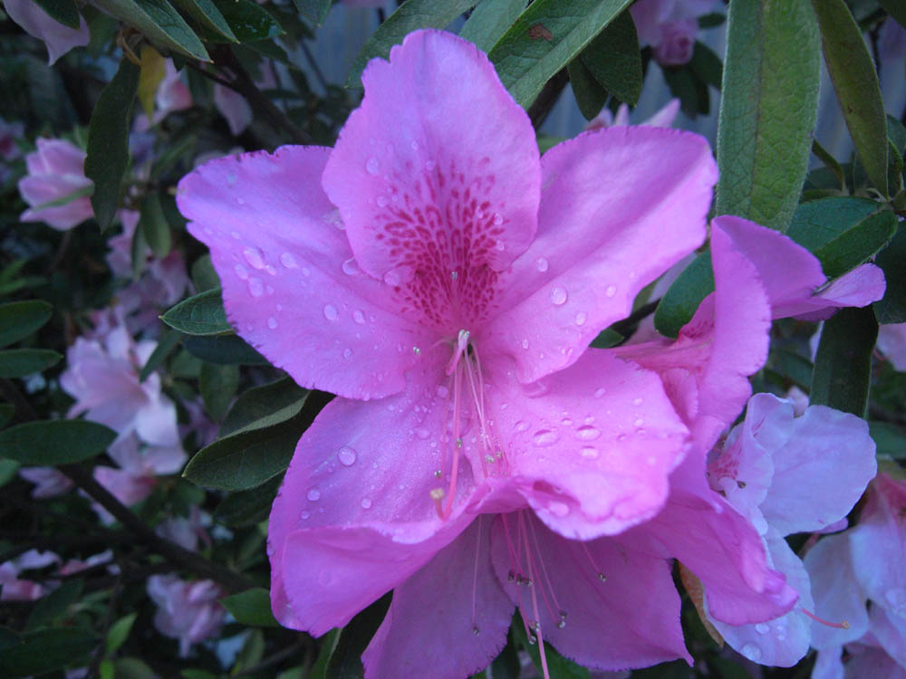 �T���P�Q��