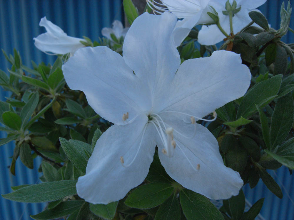 �T���P�Q��