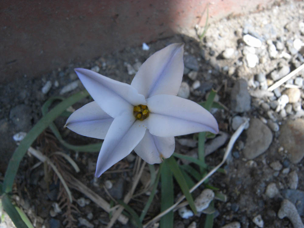 �S���O�V��