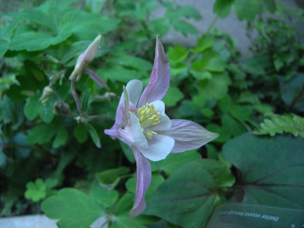 �T���P�S��