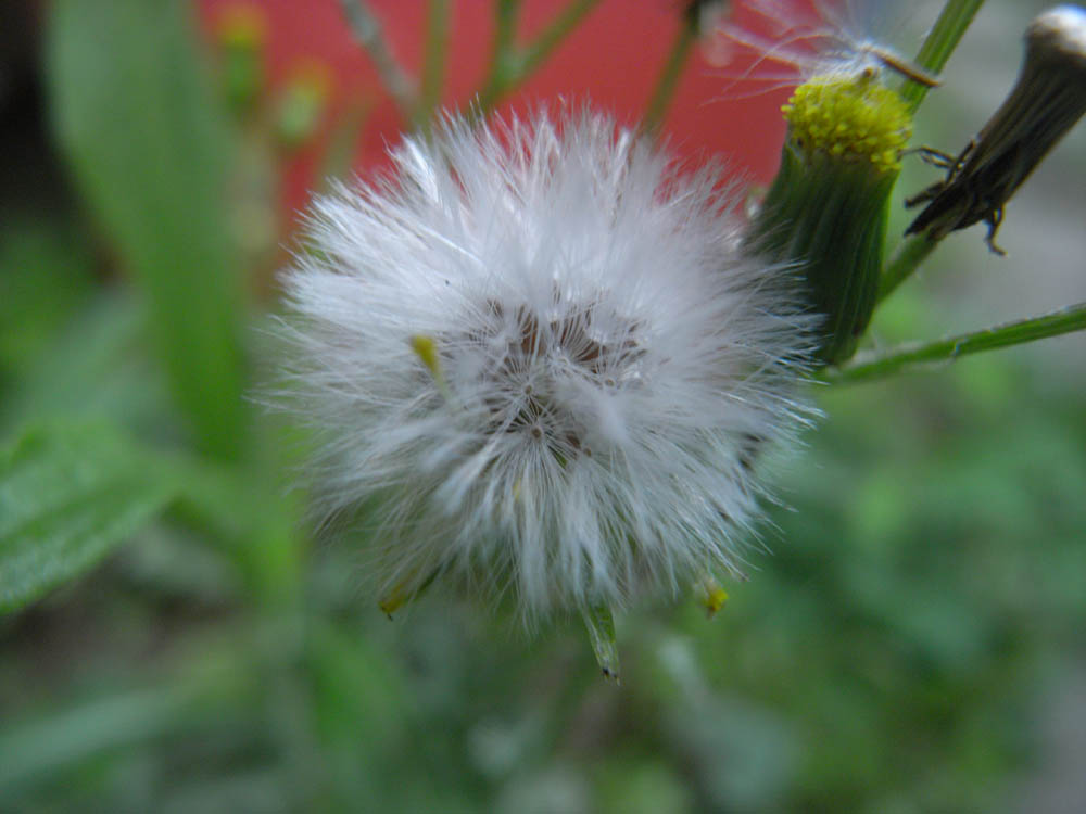 �T���O�P��