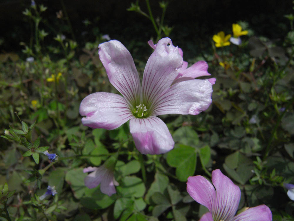 �T���Q�P��