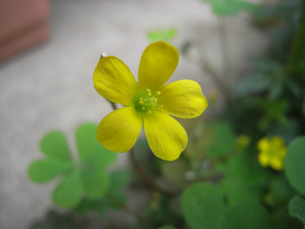 �S���P�W��