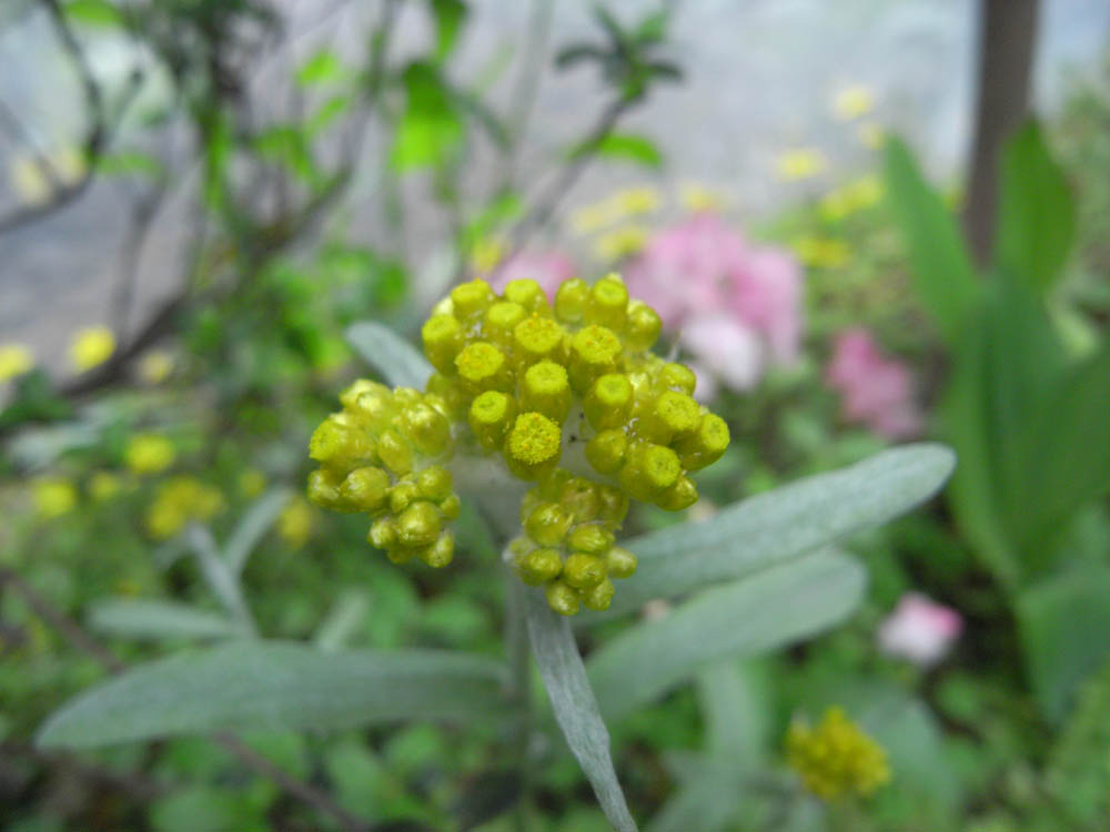 �T���P�U��