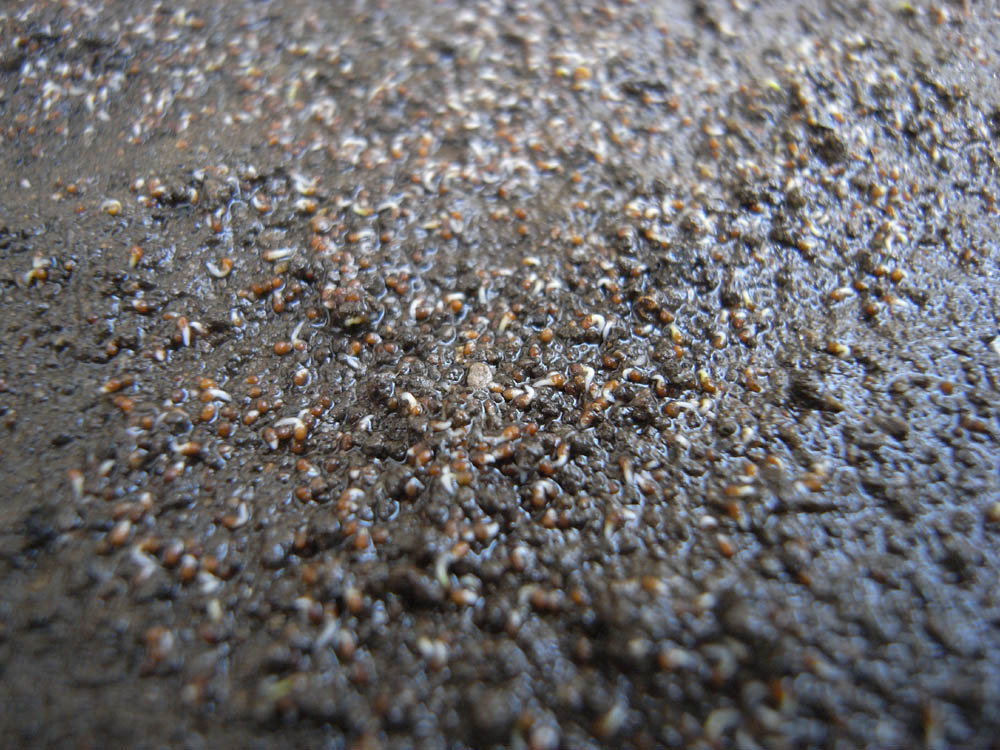 �T���Q�T��