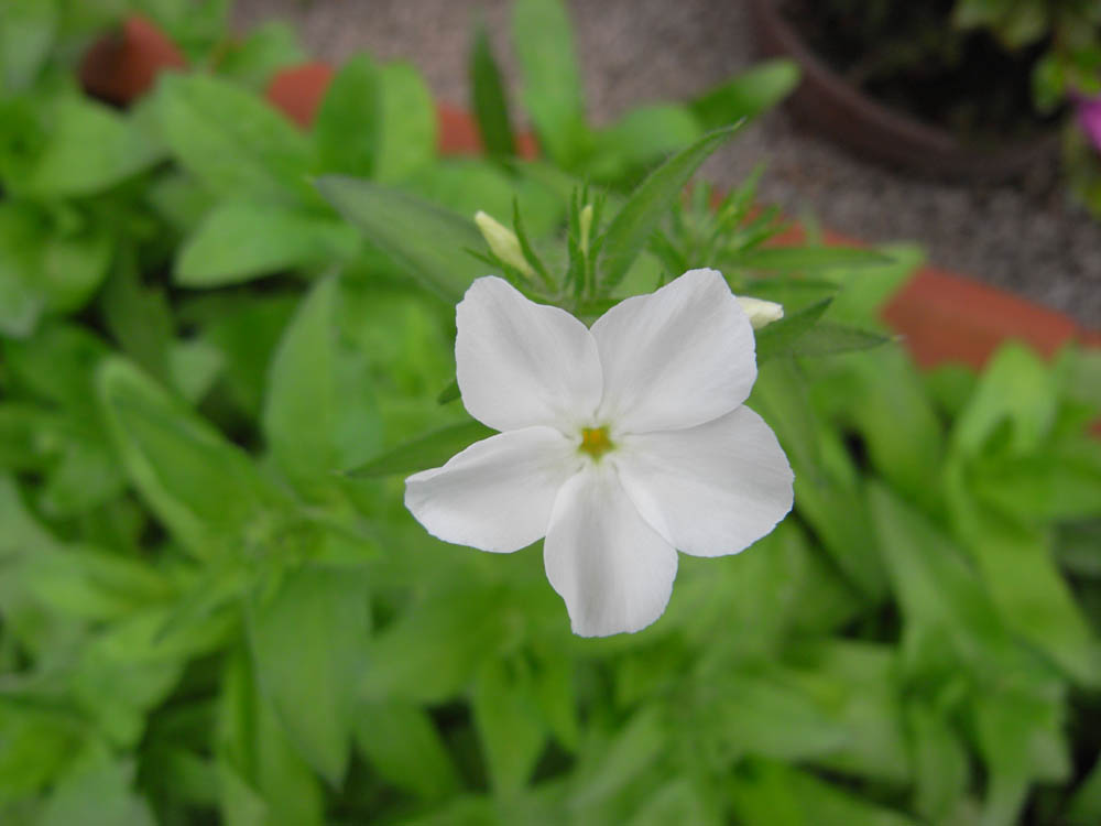 �U���Q�W��